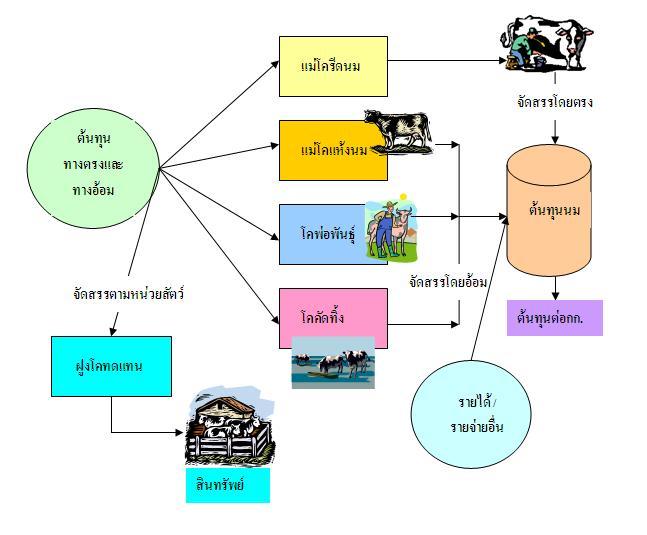 ไฟล์:โครงสร้างต้นทุนน้ำนมดิบ.JPG