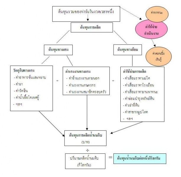 ไฟล์:โครงสร้างต้นทุนการผลิตของเกษตรกรรายย่อย.JPG